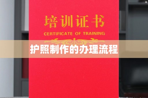 天河护照制作的办理流程