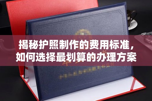 天河揭秘护照制作的费用标准，如何选择最划算的办理方案？
