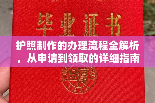 天河护照制作的办理流程全解析，从申请到领取的详细指南