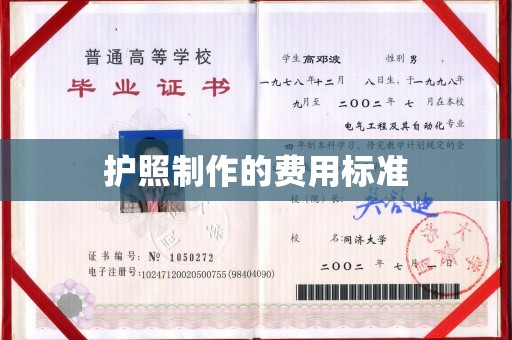 天河护照制作的费用标准
