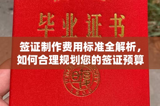 天河签证制作费用标准全解析，如何合理规划您的签证预算？